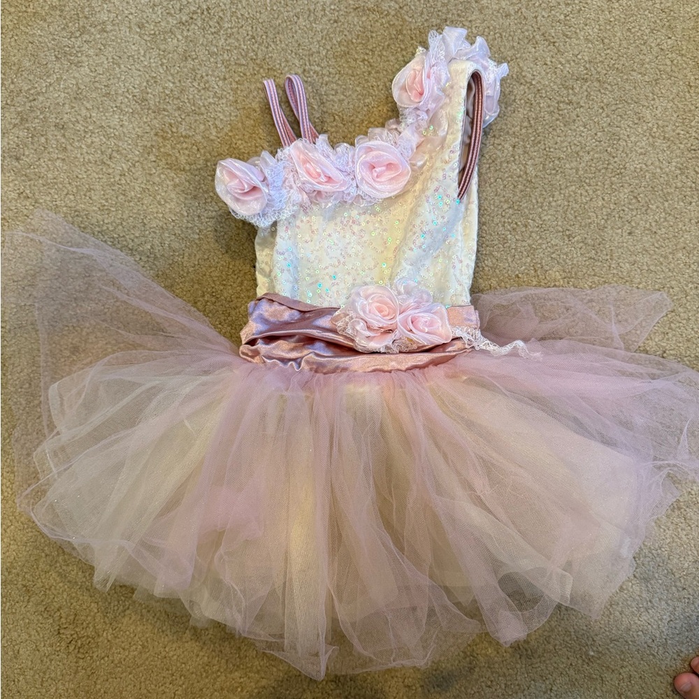 Adorable Ballet Costume 2T